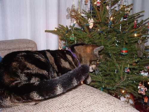 Advent_20041205_5