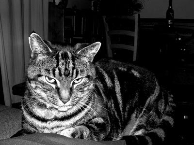 Oxford_20031115_56_bw