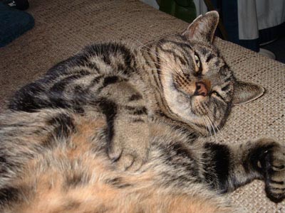Pepper_20031105_01