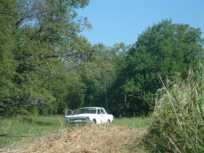 estonia_081