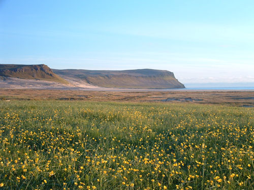 iceland04_1256