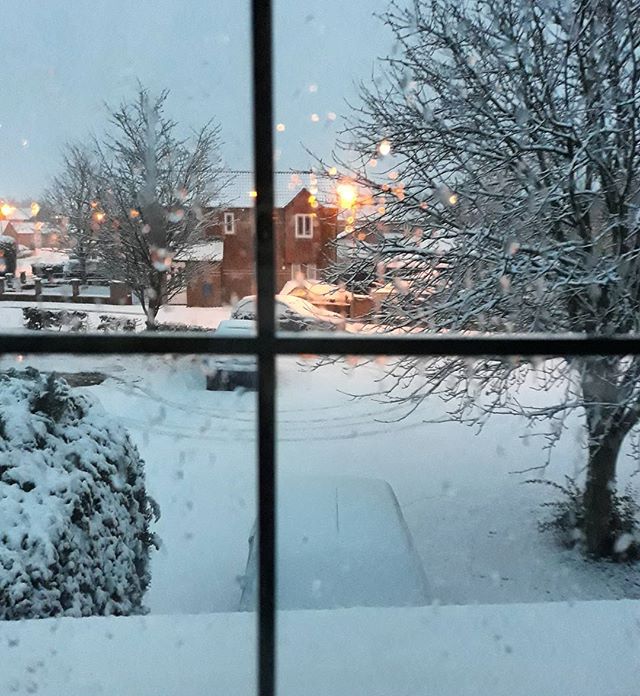 Winter wonderland... #snow❄
