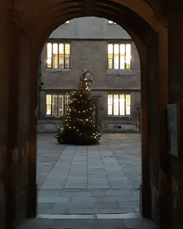 The Bod looking festive with it's twinkling tree... #Oxford #Christmas #festive