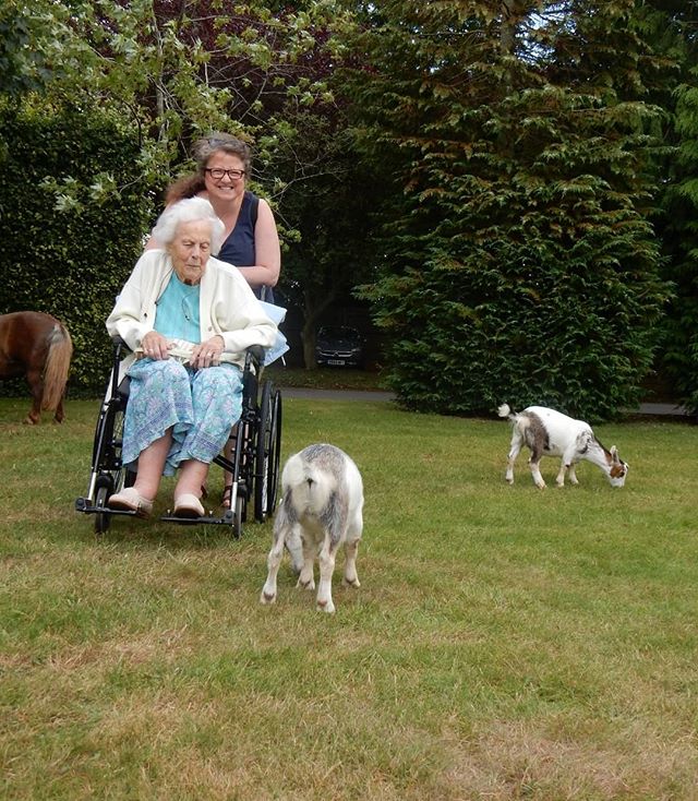 More animals and Grannies and weirdos enjoying #Farms2Ewe