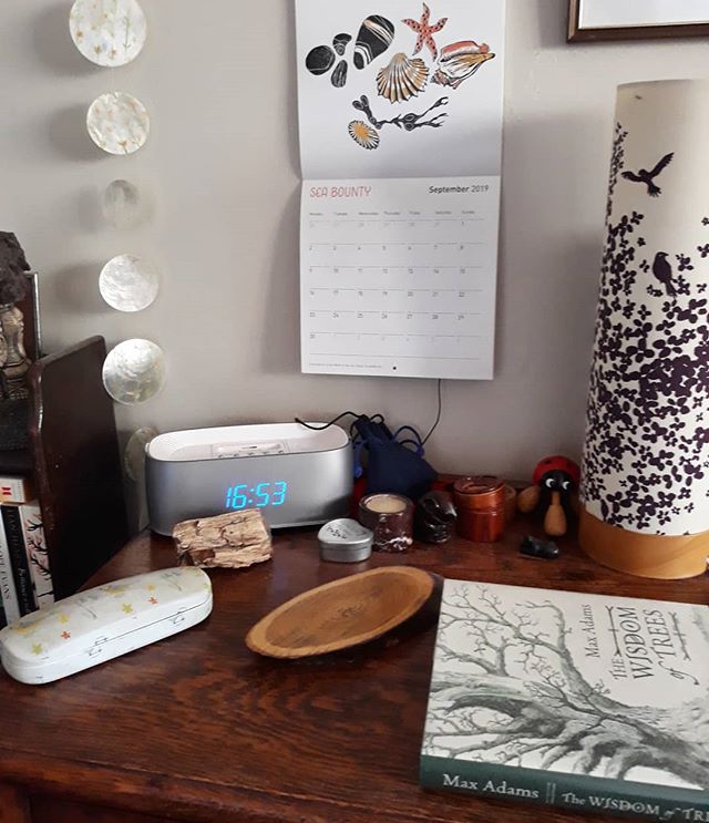 September Sea Bounty by @foxgloveandcowslip with added book about trees, a slice of tree drinks coaster, and a piece of fossilised tree... #nature #naturetable #bedsidetable @21stcenturyyokel