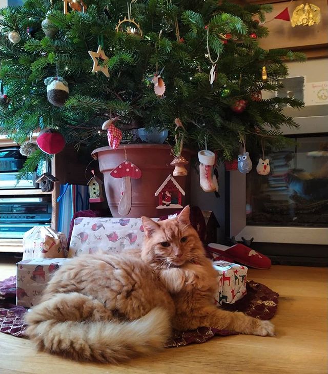 Merry Christmas to All
And to All a Good Night.
????????????
#TwasTheNightBeforeChristmas